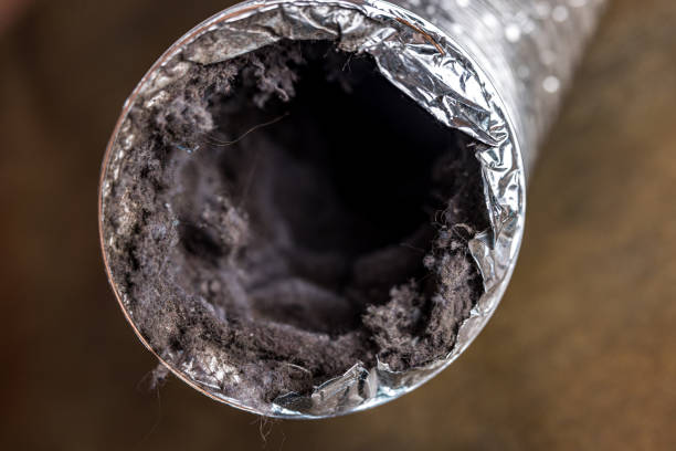 Best Best Air Duct Cleaning Near Me  in USA